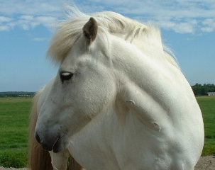 En heel fotogeniek. 