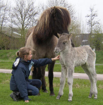 Fjla en Roosmarijn! Fjla is heel nieuwsgierig en aaibaar!