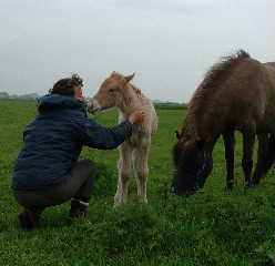 Marjo met de nieuwe aanwinst, enkele uren na de geboorte!