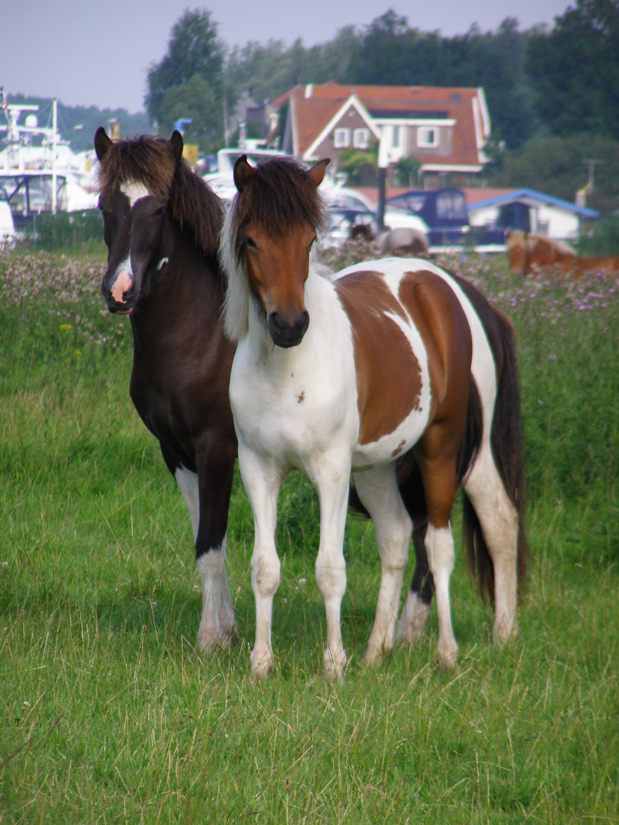 Foto door Anneke Boonacker