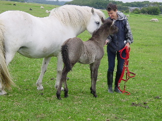Agga en Ganti met Marjo