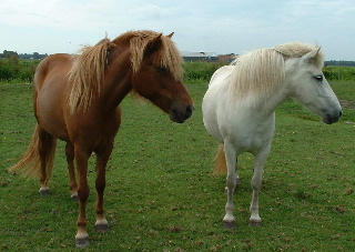 Agga en Rk. 