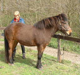 Thula wordt door Marijke gepoetst!