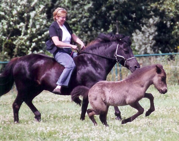 Thyrla en Doret en Djarfur!