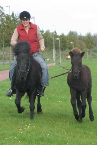 Op weg naar de wei, naast mam en Dorette!
