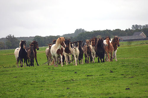 Foto door Chantal Jonkergouw