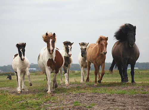 Foto met dank aan Chantal Jonkergouw!
