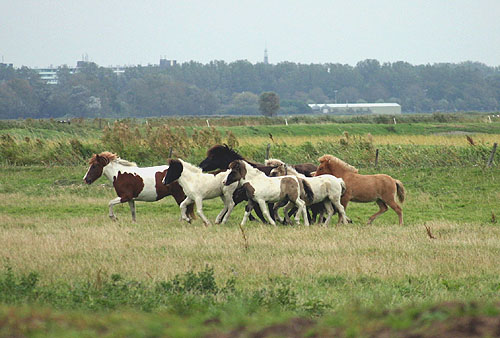 Foto met dank aan Chantal Jonkergouw!