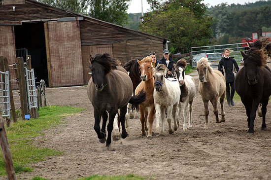 Foto door Chantal Jonkergouw