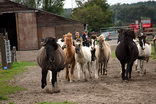 Foto door Chantal Jonkergouw