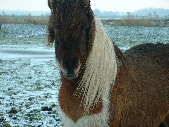 Ugla, winter 2002/2003!